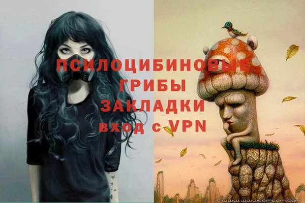 наркотики Бородино